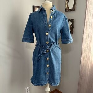 Lizette Collection Chic Denim Button-Front Mini Dress